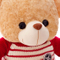 100% Polyester Soft Toys Fur Fabric for Teddy Bear